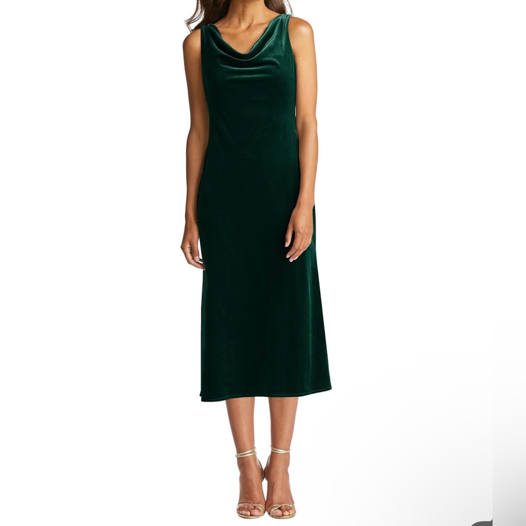 Lovely Rowan Cowl Neck Velvet Midi Dress